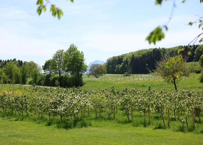 Villa Seeberg - By 