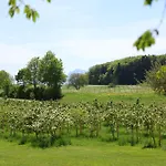 Villa Seeberg - By 